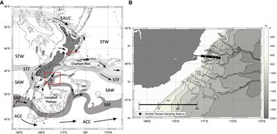 Drivers of seasonal to decadal mixed layer carbon cycle variability in subantarctic water in the Munida Time Series
